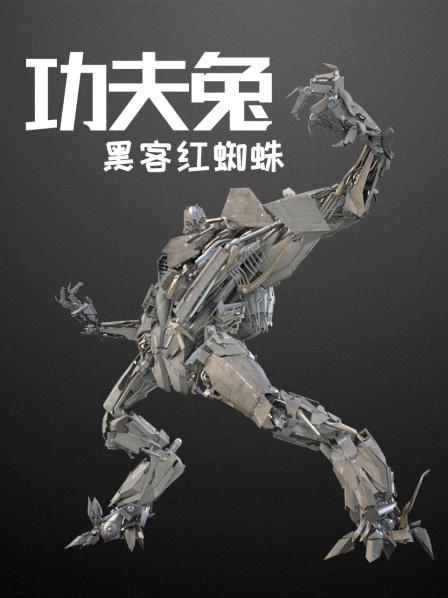 黑客团队搞笑视频下载安装(黑客团队搞笑视频下载安装大全)