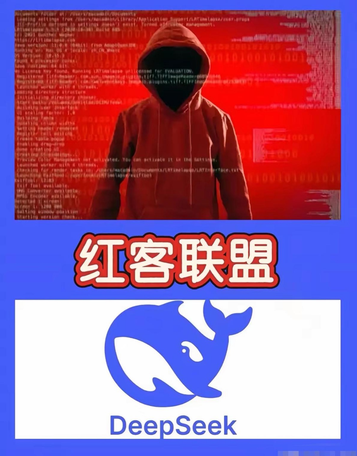 黑客团队卡盟(黑客联盟app)